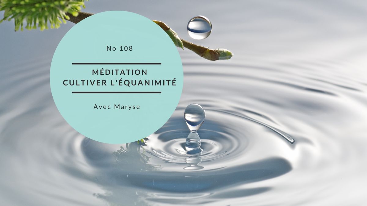Méditation no 108:  Cultiver l’équanimité