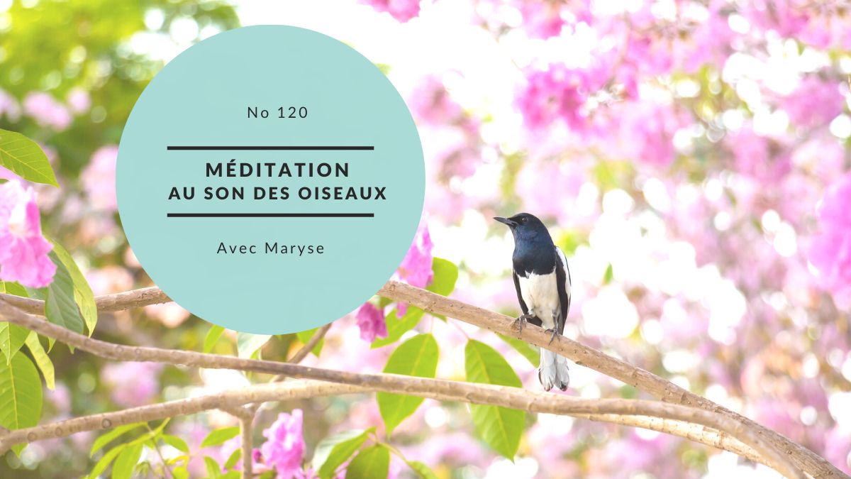 Méditation non-guidée (son des oiseaux)